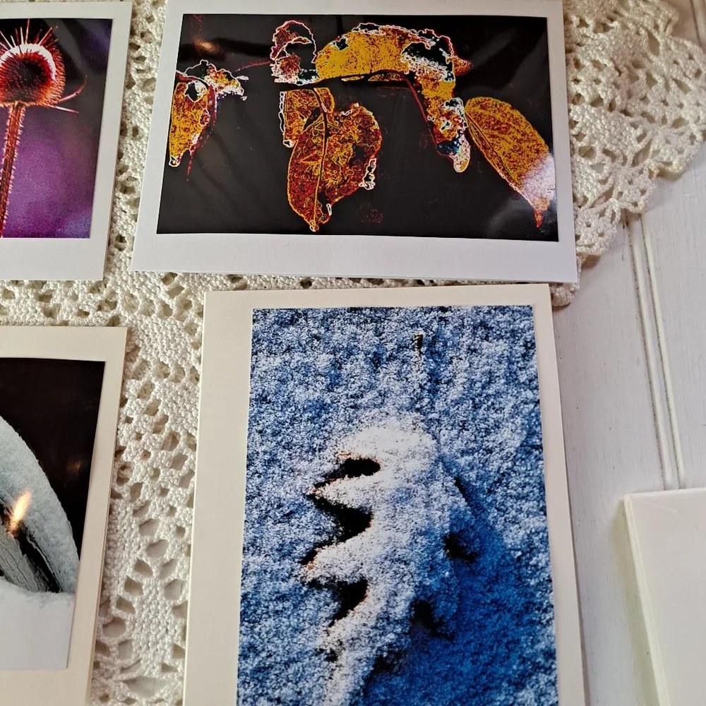 10 Original Photographs All Occasion Greeting Cards